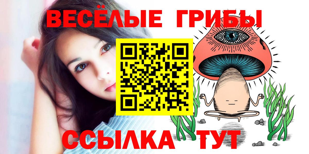 Галлюциногенные грибы Psilocybe  Вход с VPN  сколько стоит  Глазов 