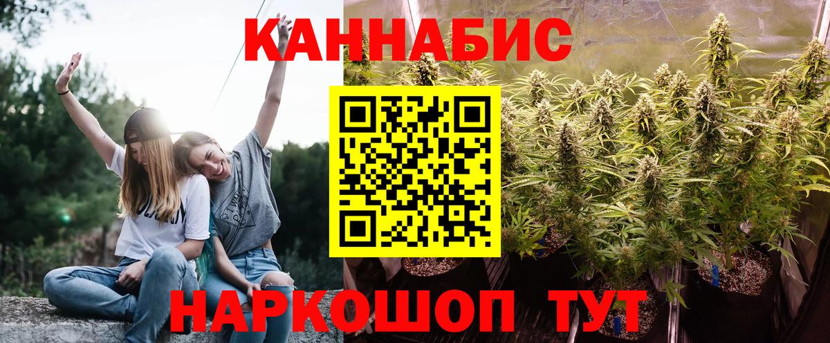 Глазов  Бошки Шишки Bruce Banner  Каннабис планчик  Канабис индика  Вход с VPN  Канабис OG Kush 